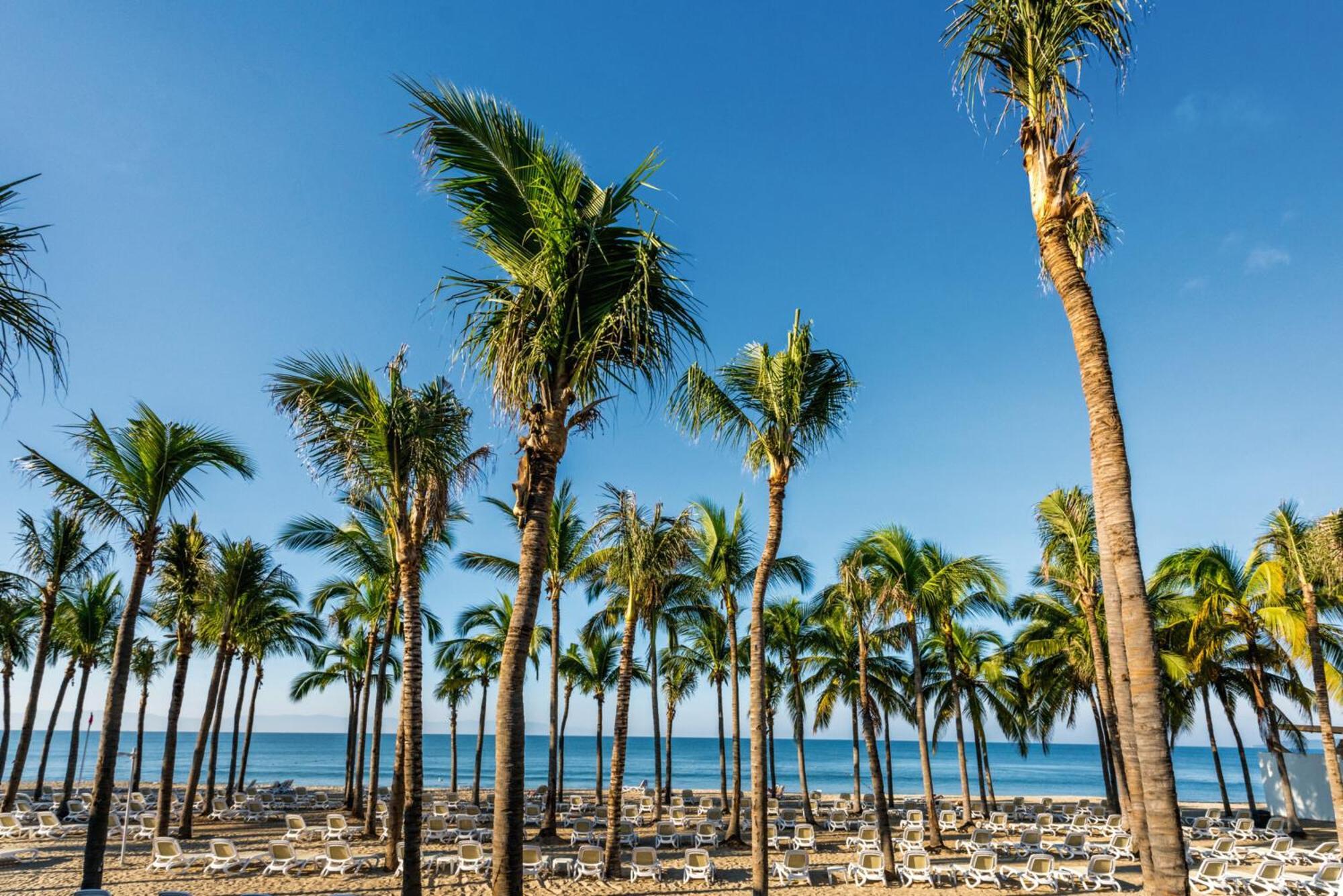 Riu Vallarta Nuevo Vallarta Luaran gambar